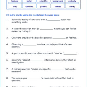 Asking Scientific Questions TEKS 3.1 A Grade 3 science fill in the blanks worksheets.