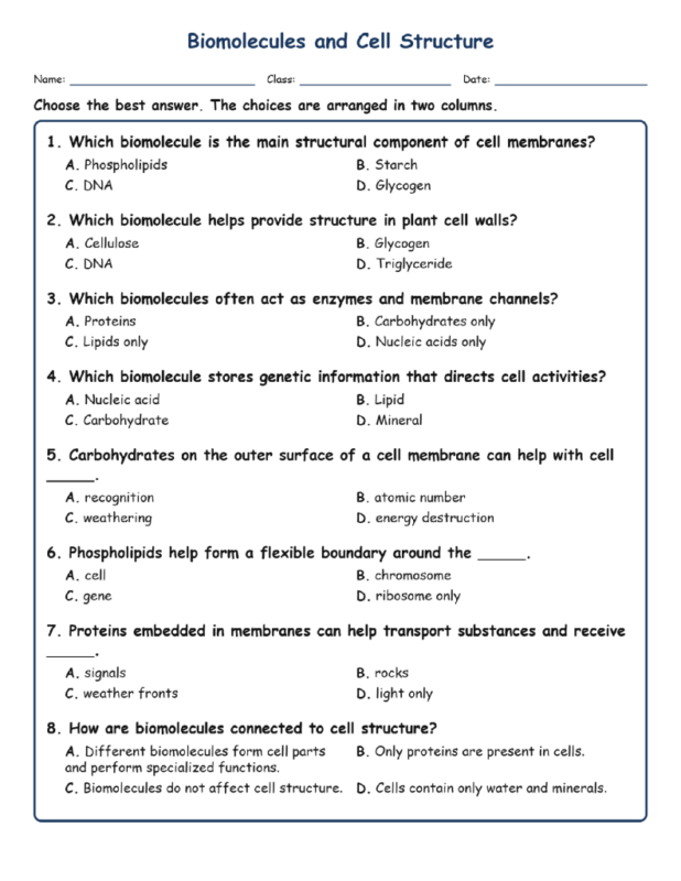Biomolecules and Cell MCQs Fill Written Exit Tickets Worksheet TEKS Biology.