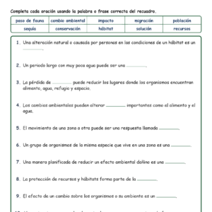 Cambios Afectan a los O Fill MCQ Written Exit Tickets Worksheet NGSS Grade 3