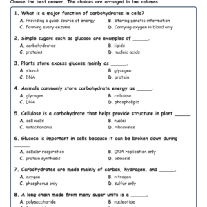 Carbohydrates and Cell MCQs Fill Written Exit Tickets Worksheet TEKS Biology.