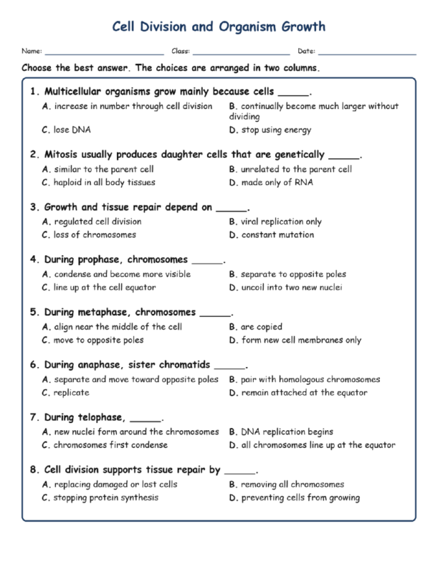 Cell Division and Fill MCQ Written Exit Tickets Worksheet TEKS Biology