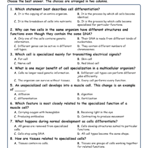 Cell Specialization and Differentiation Biology TEKS B.6B MCQ Fill Short Exit Wo.