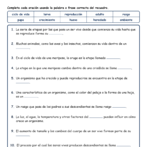 Ciclos de vida y rasgos Completar MCQ Escritas Salida Hojas NGSS Grado 3