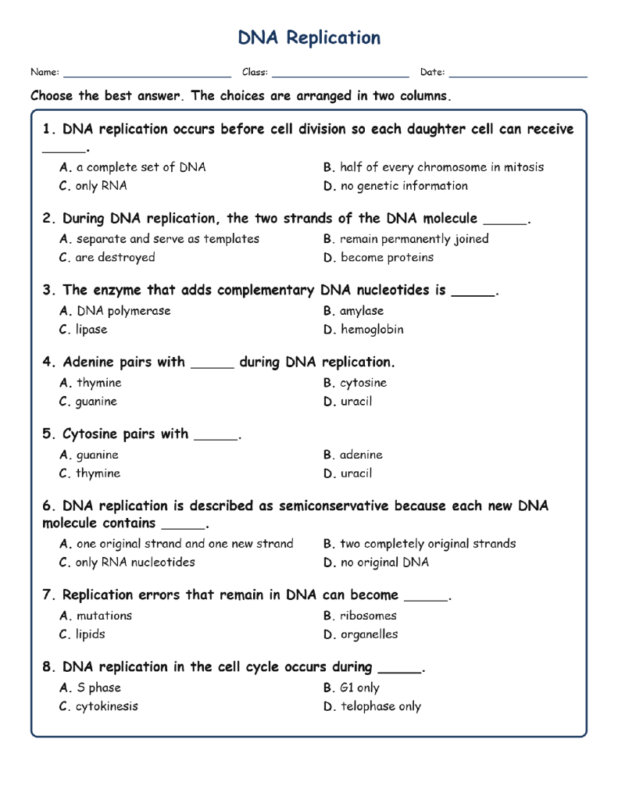 DNA Replication Fill MCQ Written Exit Tickets Worksheet TEKS Biology.