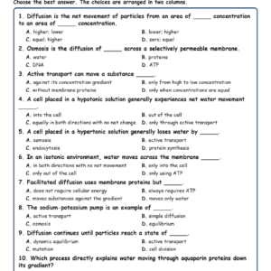 Diffusion, Osmosis, and Active Transport MCQ Fill Written Exit Tickets Works