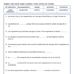 Ecosistemas Completar MCQ Escritas Salida Hojas NGSS Grado 5