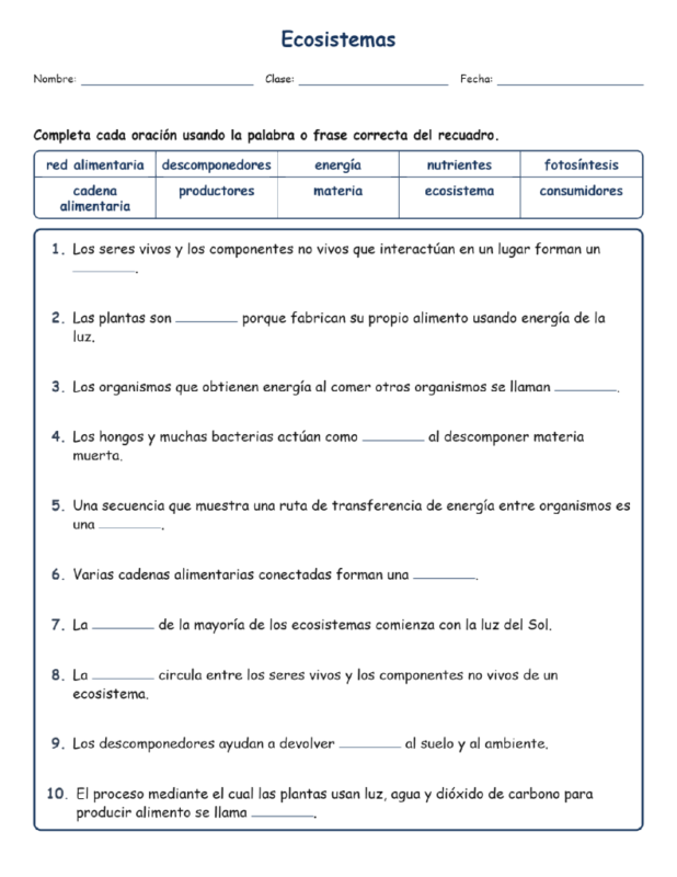 Ecosistemas Completar MCQ Escritas Salida Hojas NGSS Grado 5