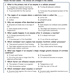 Enzymes and Cellular Processes Biology TEKS B.11B MCQ Fill Short Exit Worksheets.