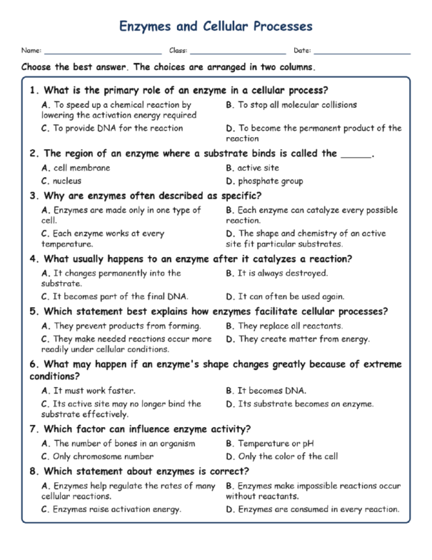 Enzymes and Cellular Processes Biology TEKS B.11B MCQ Fill Short Exit Worksheets.
