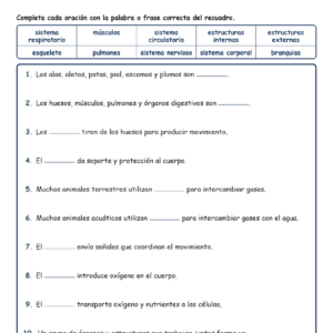 Estructuras y Completar MCQ Escritas Boletos Hoja de Trabajo NGSS Grado 4
