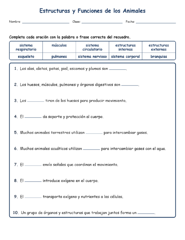 Estructuras y Completar MCQ Escritas Boletos Hoja de Trabajo NGSS Grado 4