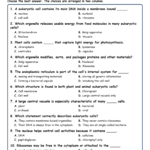 Eukaryotic Cells MCQ Fill Written Exit Tickets Worksheet TEKS Biology.