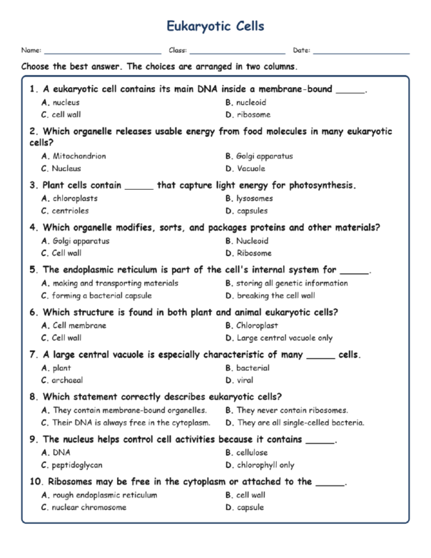 Eukaryotic Cells MCQ Fill Written Exit Tickets Worksheet TEKS Biology.