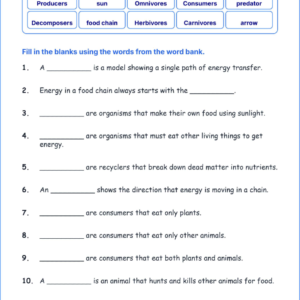 Food Chains and Energy Flow TEKS 3.9 B Grade 3 science fill in the blanks worksheets.