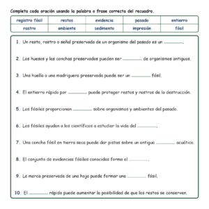 Fósiles Fill MCQ Written Exit Tickets Worksheet NGSS Grade 3