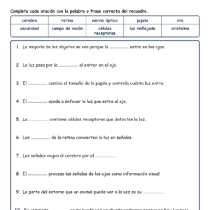 Función de los Ojos Completar MCQ Escritas Boletos Hoja de Trabajo NGSS Grado 4