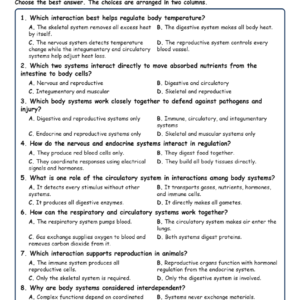 Interactions Among Animal Body Systems Biology TEKS B.12A MCQ Fill Short Exit Wo.