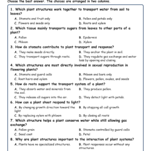 Interactions Among Plant Systems Biology TEKS B.12B MCQ Fill Short Exit Workshee.