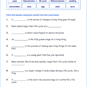 Life Cycles of Plants and Animals TEKS 3.10 B Grade 3 science fill in the blanks worksheets.