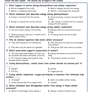 Matter and Energy in Cellular Processes Biology TEKS B.11A MCQ Fill Short Exit W