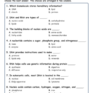 Nucleic Acids and Cells MCQs Fill Written Exit Tickets Worksheet TEKS Biology