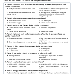 Photosynthesis and Cellular Respiration Biology TEKS B.11A MCQ Fill Short Exit W