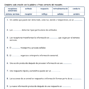 Procesamiento de Completar MCQ Escritas Boletos Hoja de Trabajo NGSS Grado 4