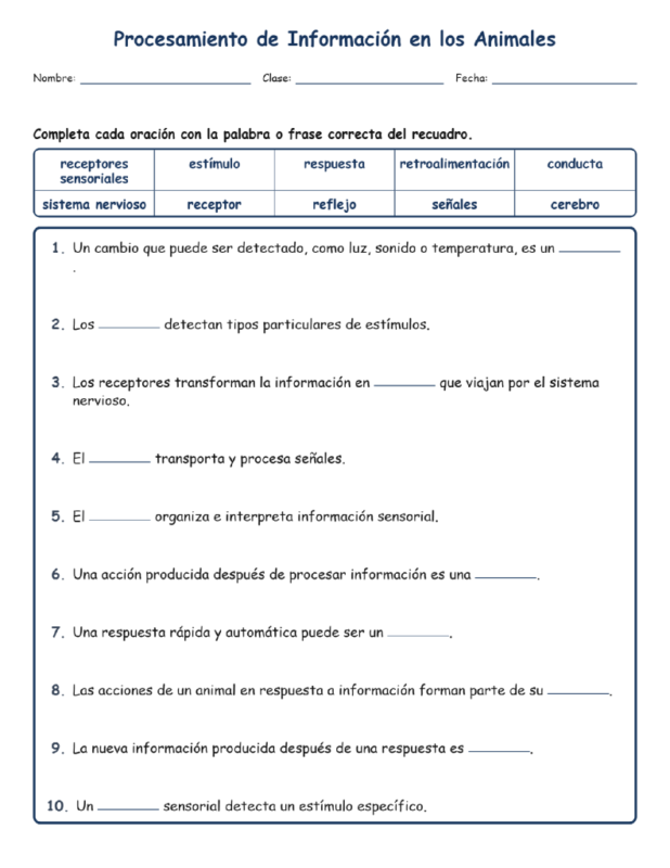 Procesamiento de Completar MCQ Escritas Boletos Hoja de Trabajo NGSS Grado 4