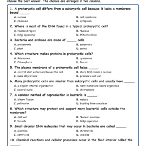 Prokaryotic Cells MCQ Fill Written Exit Tickets Worksheet TEKS Biology