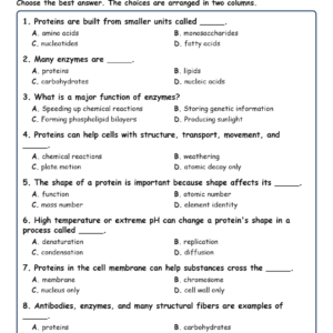 Proteins and Cell Function MCQs Fill Written Exit Tickets Worksheet TEKS Biology