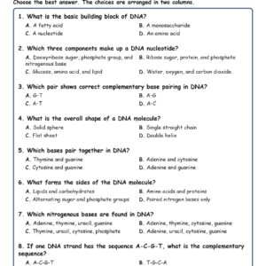 Structure and Components of DNA Biology TEKS B.7A MCQ Fill Short Exit Worksheets