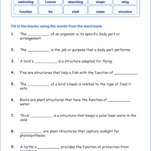 Structures and Functions in Living Organisms TEKS 4.12 A Grade 4 science fill in the blanks worksheets.
