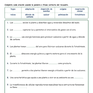 Supervivencia de las Pl Fill MCQ Written Exit Tickets Worksheet NGSS Grado5