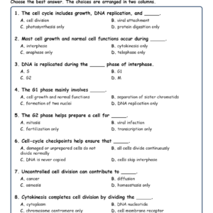 The Cell Cycle Fill MCQ Written Exit Tickets Worksheet TEKS Biology