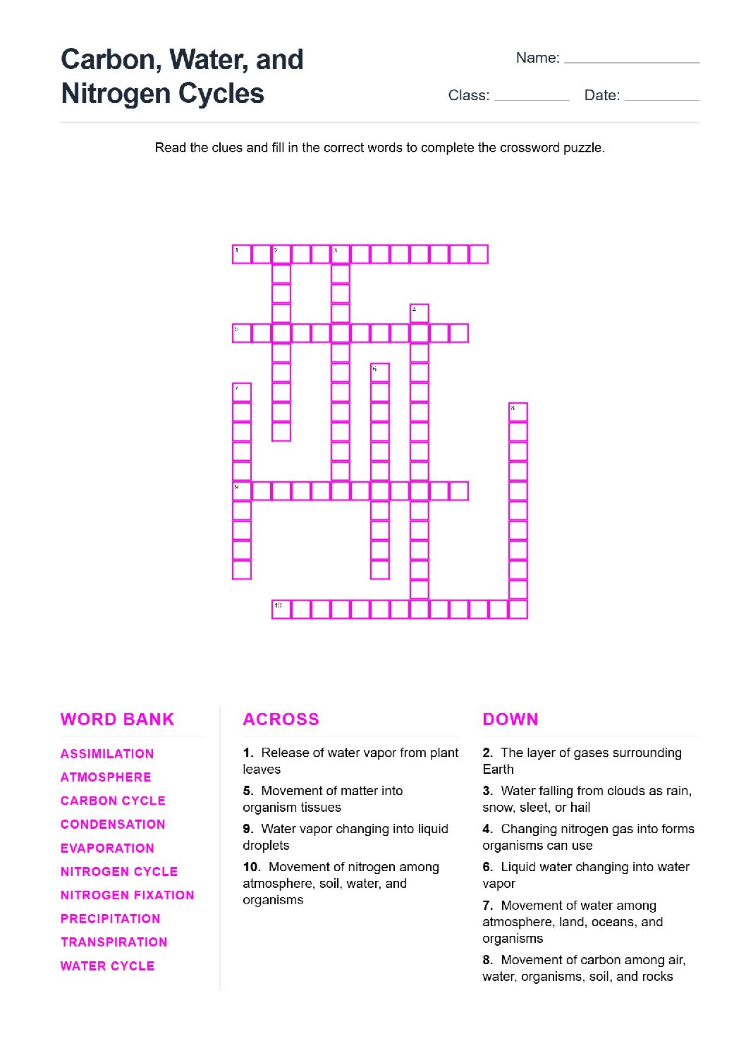 Carbon, Water, and Nitrogen Cycles (Crossword Worksheets) Grade 7 NGSS