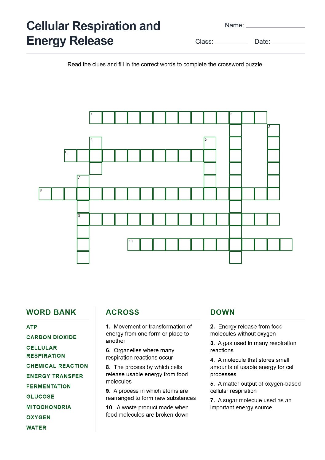 Cellular Respiration and Energy Release (Crossword Worksheets) Grade 7 NGSS