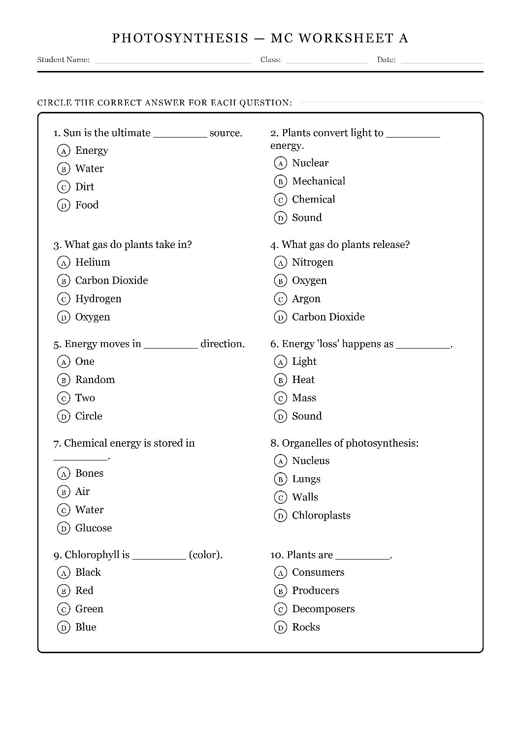 TEKS 6.9 B Photosynthesis & Energy Flow Science Worksheet.