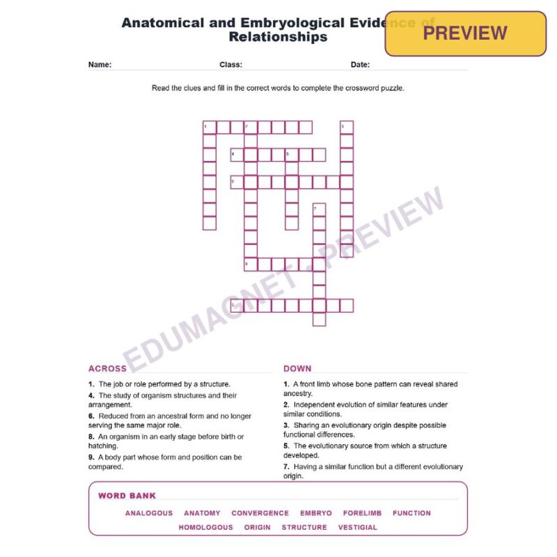 Anatomical And Embryological Evidence Of Relationships (Crossword Worksheets) Grade 8 NGSS MS LS4 2 And MS LS4 3