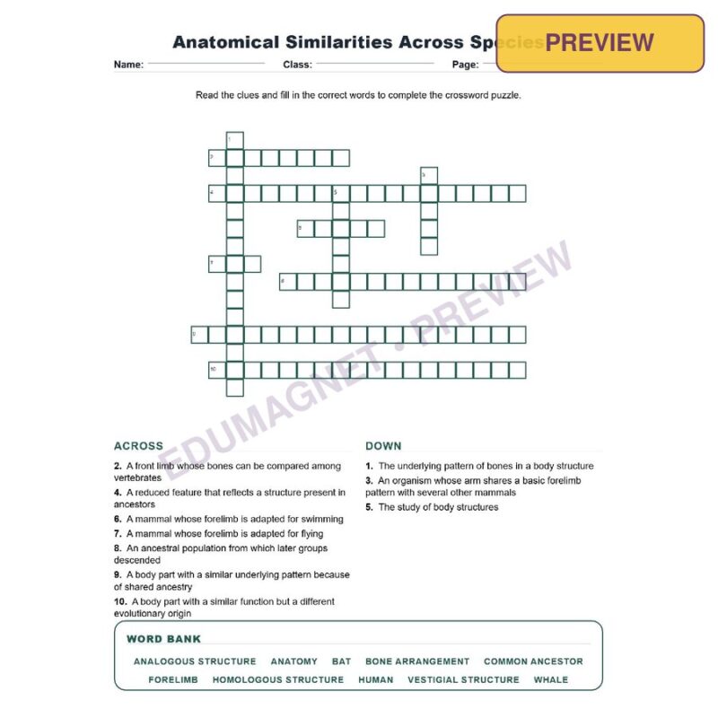 Anatomical Similarities Across Species (Crossword Worksheets) Virginia SOL LS.11
