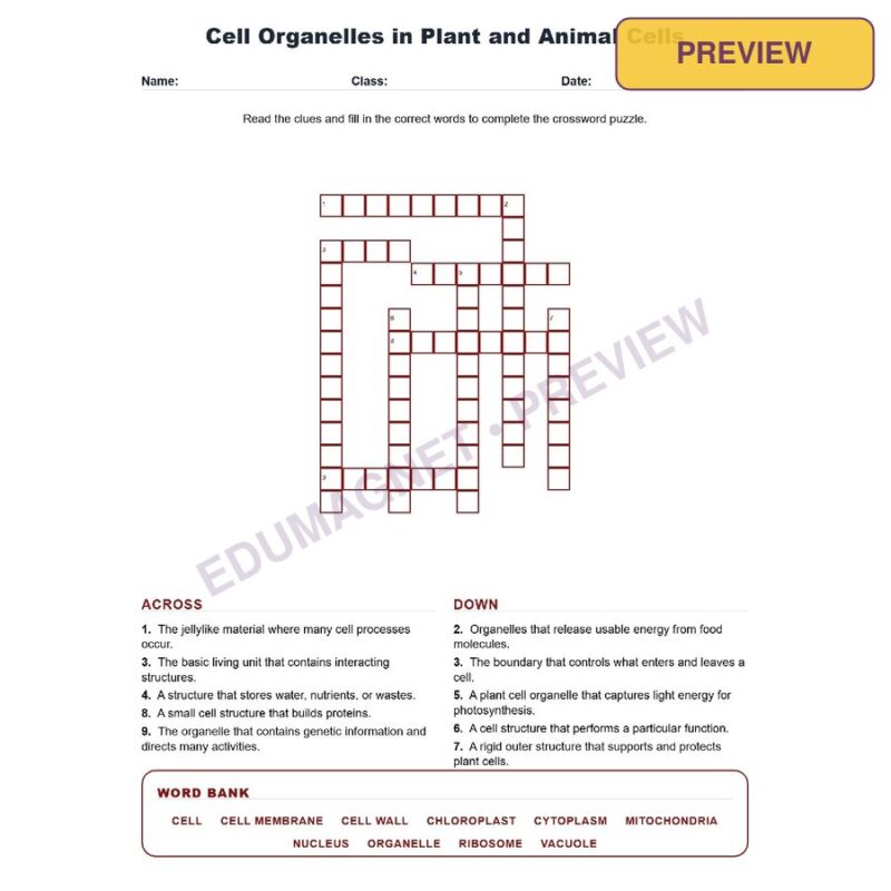 Cell Organelles In Plant And Animal Cells (Crossword Worksheets) Grade 8 Science TEKS 8.13A