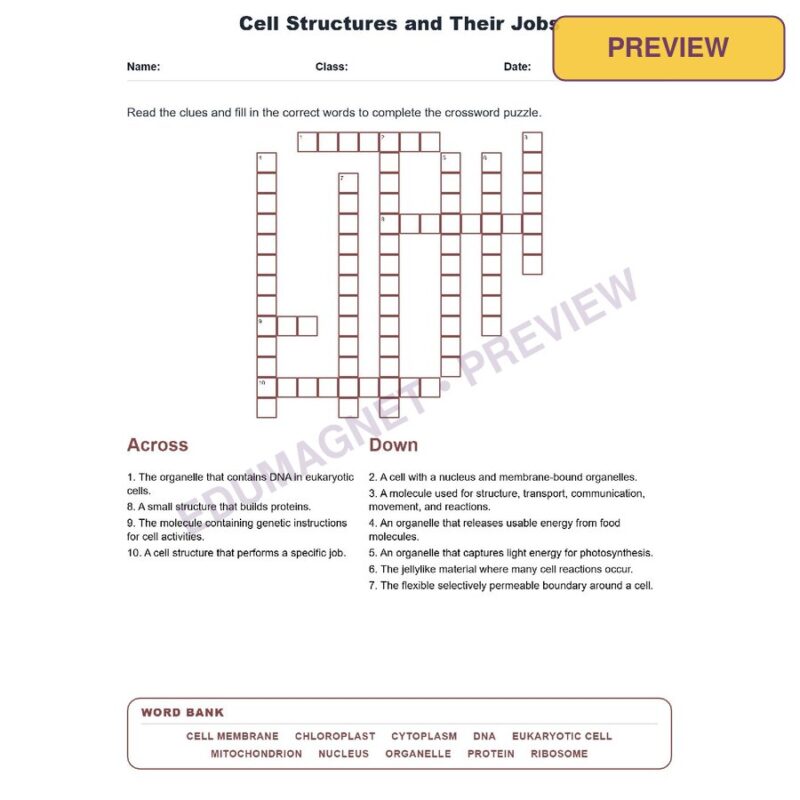 Cell Structures And Their Jobs (Crossword Worksheets) Virginia Grade 7 Life Science SOL LS.2