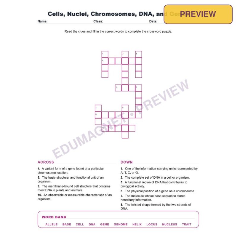 Cells, Nuclei, Chromosomes, DNA, And Genes (Crossword Worksheets) NGSS MS LS3 1, MS LS3 2