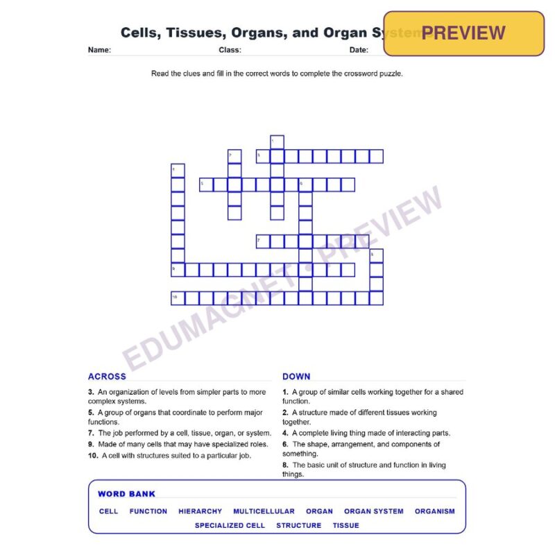 Cells, Tissues, Organs, And Organ Systems (Crossword Worksheets) Grade 7 Science TEKS 7.13B