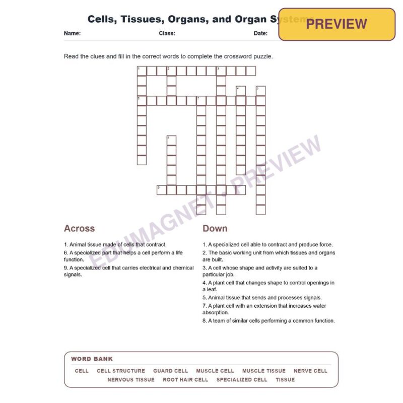 Cells, Tissues, Organs, And Organ Systems (Crossword Worksheets) Virginia SOL LS.3a