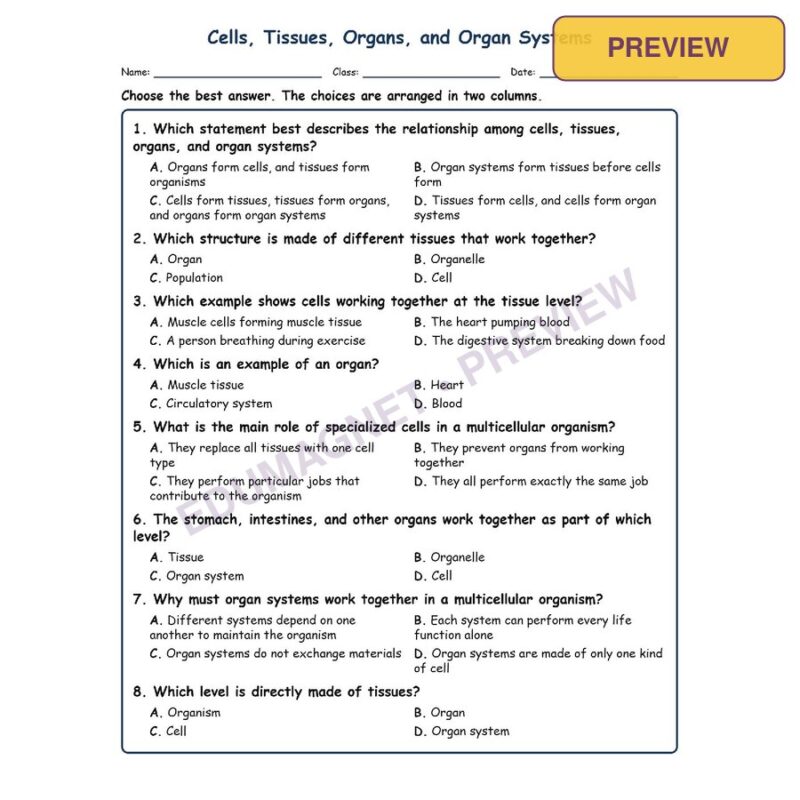 Cells, Tissues, Organs, And Organ Systems Life Science Virginia SOL LS.3A MCQ Fi
