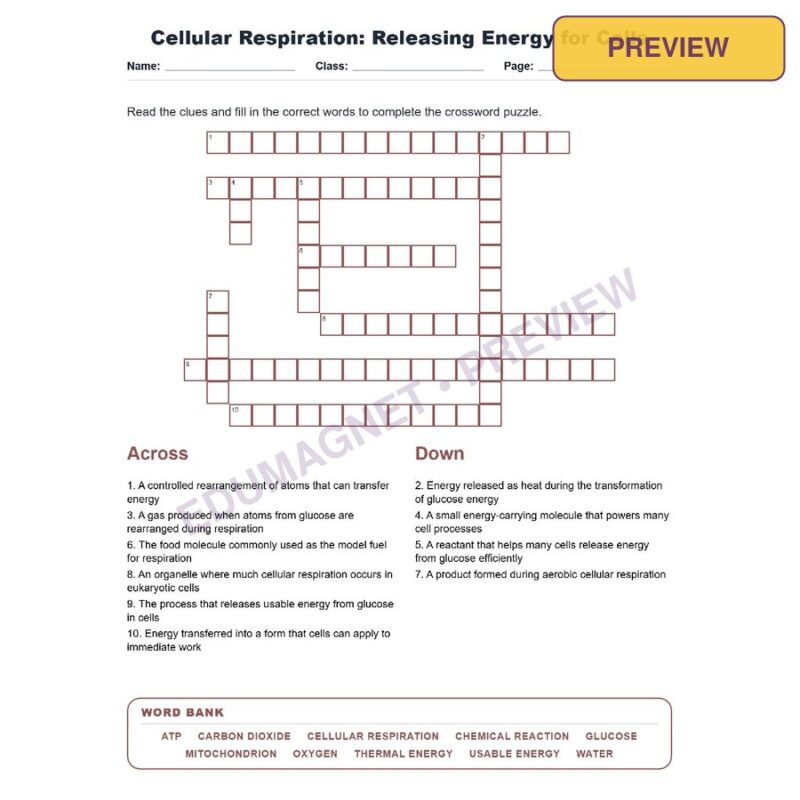 Cellular Respiration Releasing Energy For Cells (Crossword Worksheets) Virginia SOL LS.4