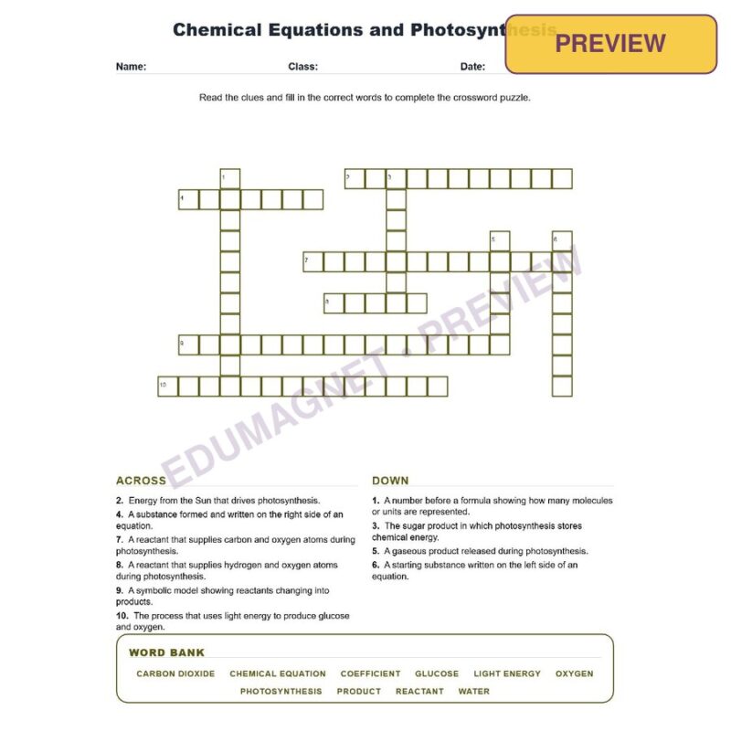 Chemical Equations And Photosynthesis (Crossword Worksheets) Grade 8 Science TEKS 8.6E