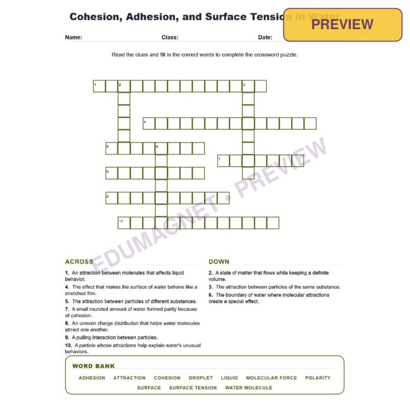 Cohesion, Adhesion, And Surface Tension In Water (Crossword Worksheets) Grade 8 Science TEKS 8.6C
