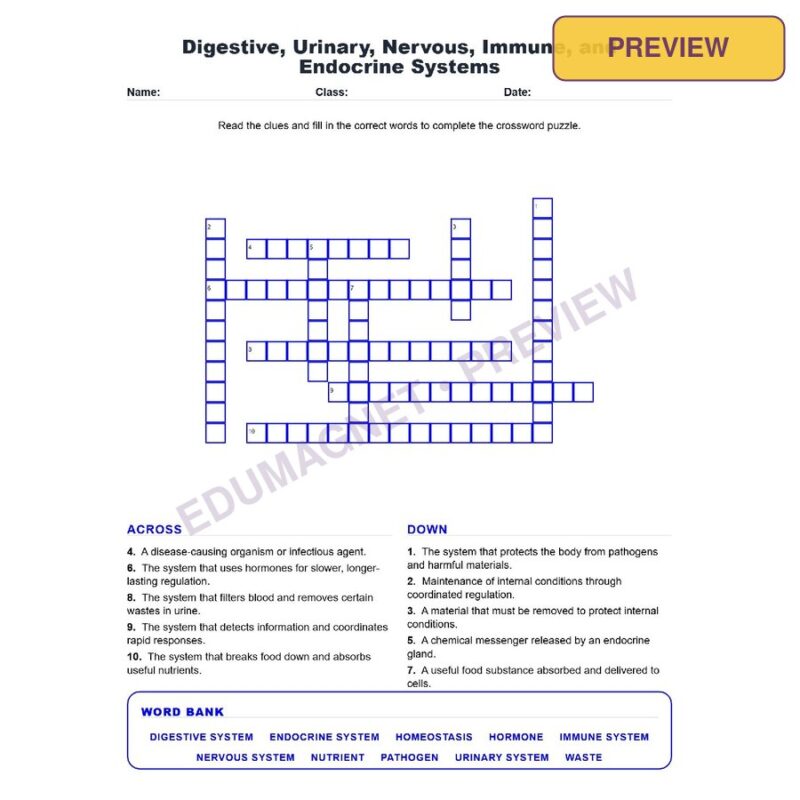 Digestive, Urinary, Nervous, Immune, And Endocrine Systems (Crossword Worksheets) Grade 7 Science TEKS 7.13A