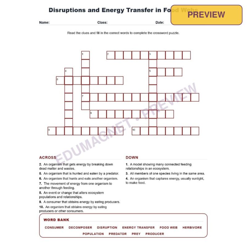 Disruptions And Energy Transfer In Food Webs (Crossword Worksheets) Grade 8 Science TEKS 8.12A